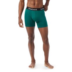 Smartwool Men's Everyday Merino Boxer Brief