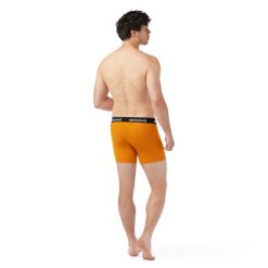 Alternative view of Smartwool Men's Active Boxer Brief