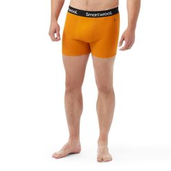 Smartwool Men's Active Boxer Brief