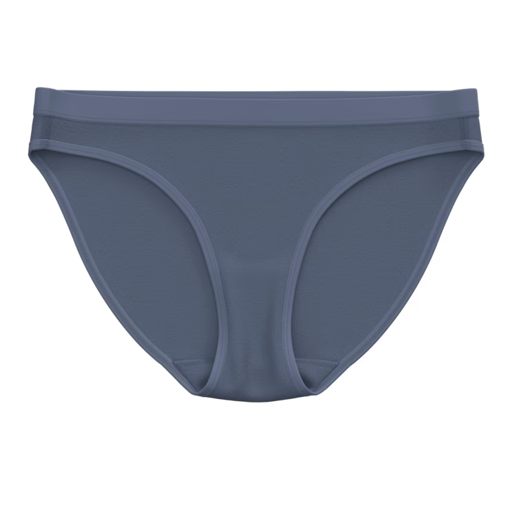 Smartwool Women's Everyday Merino Bikini Boxed - Image 3