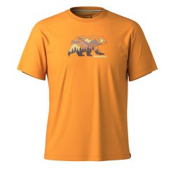 Alternative view of Smartwool Bear View Short Sleeve Graphic Tee