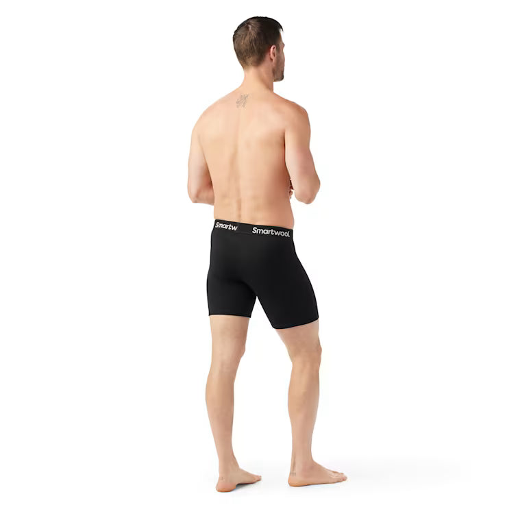 Smartwool Men's Wind Boxer Brief - Image 2