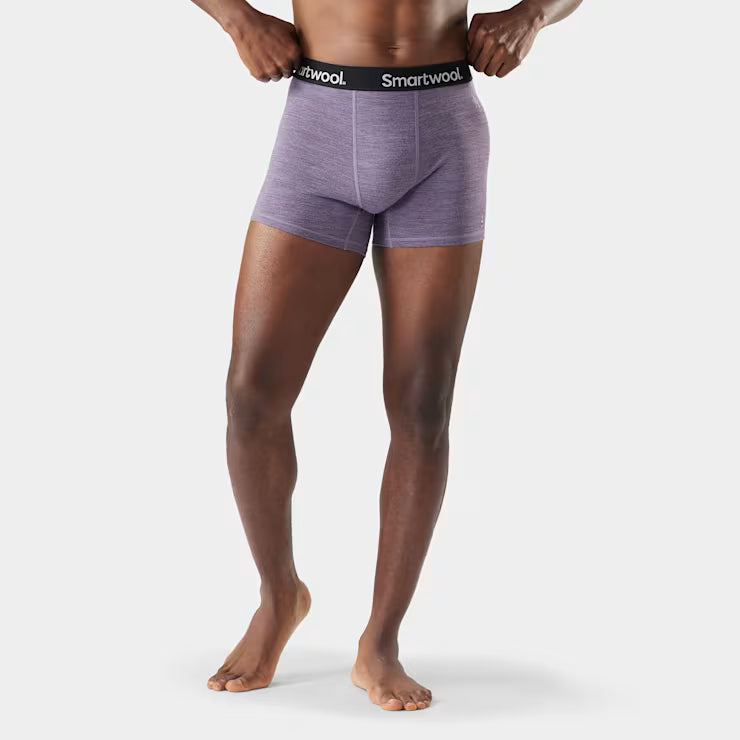 Smartwool Men's Active Boxer Brief